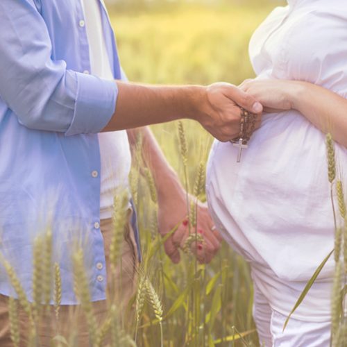 pregnant expecting couple holding hands in grassy fields